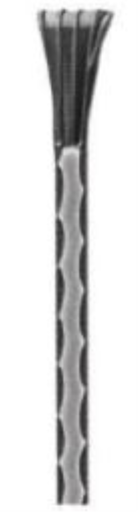 NR 5509